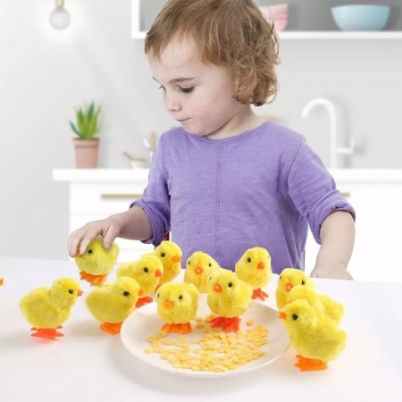 (5 pices) Chicken Toy Kids